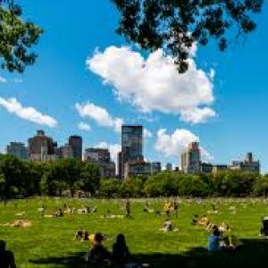 Central Park