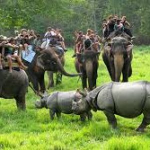 Chitwan National Park