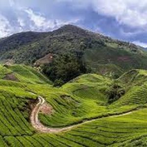 Coorg Tours