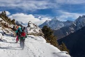 Himalayan