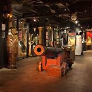 Hollywood Museum