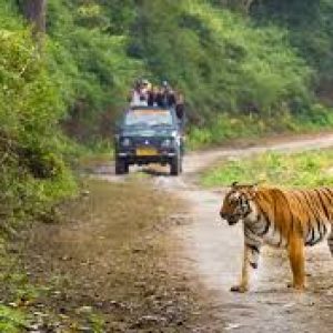 Jim Corbett National Park, Uttarakhand
