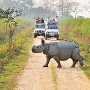 Kaziranga National Park