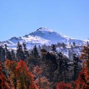 Kedarkantha Trek