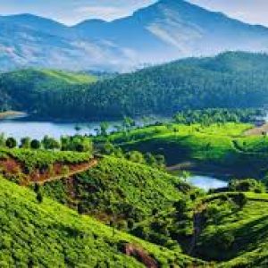 Munnar Tours