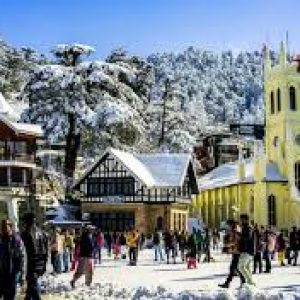 Shimla Tours