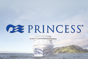 Supplier-Tile_Princess.png
