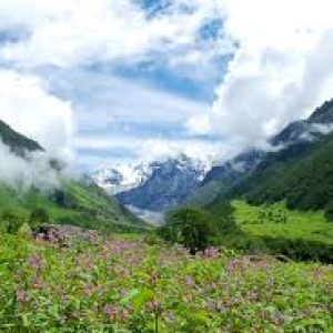 Valley of Flowers